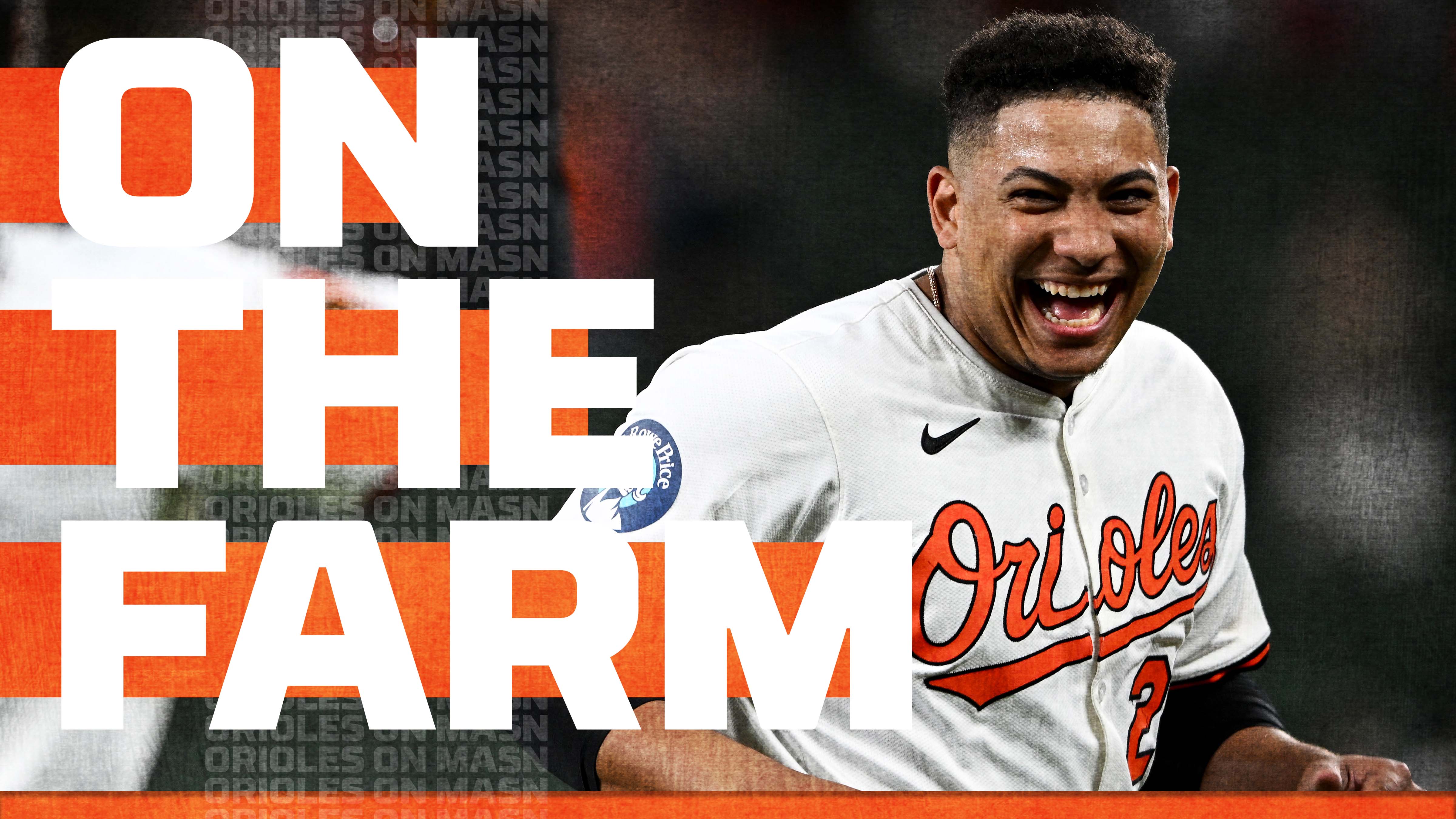 Looking back on the O's minor league seasons